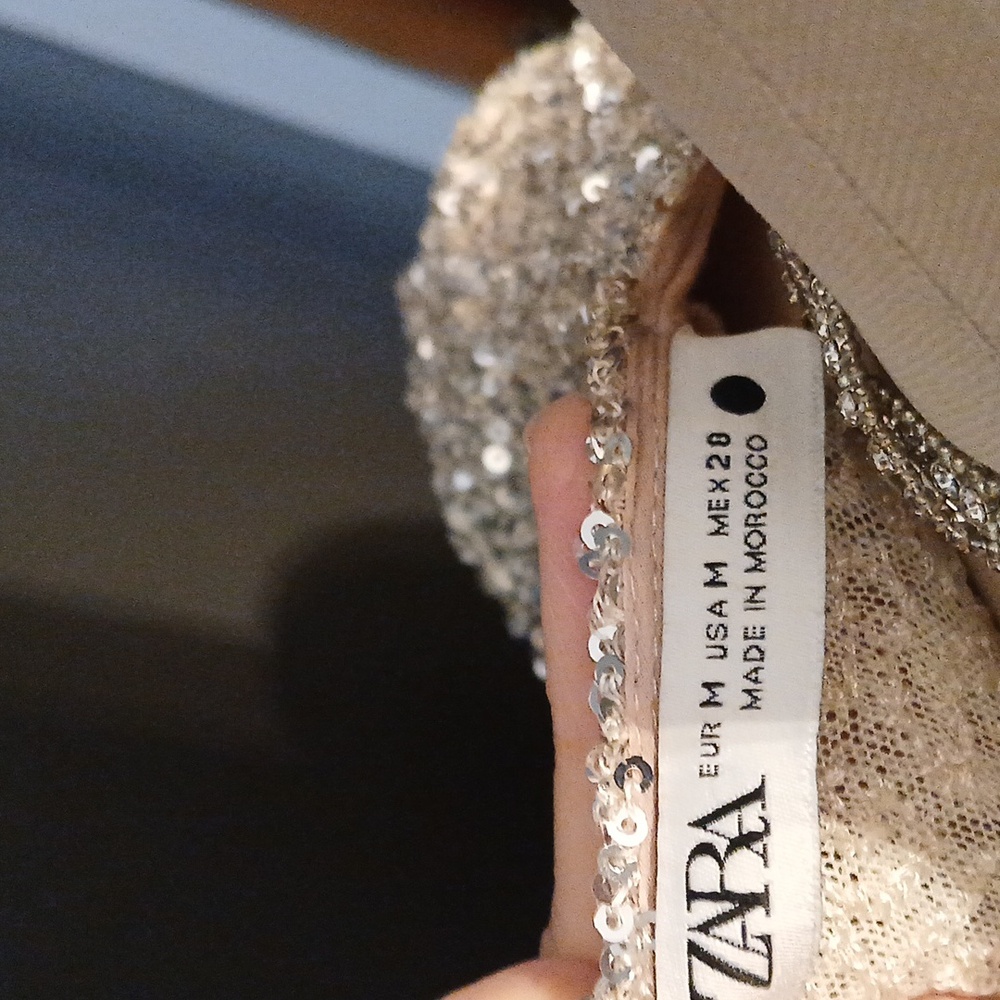 Zara Sequin Dress - Picture 7 of 10
